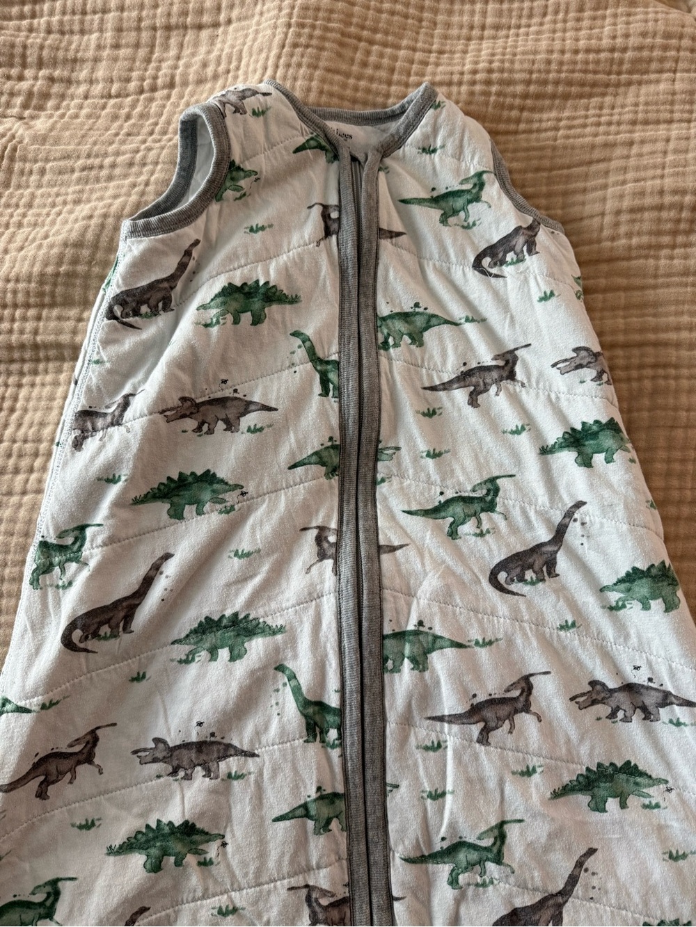 Burt's Bees Baby Dino Print Sleep Sack - Green & Gray